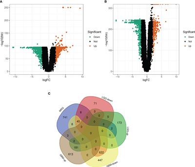 Novel prognostic features and personalized treatment strategies for mitochondria-related genes in glioma patients